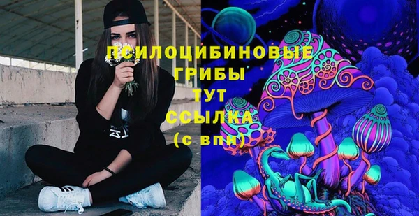 MDMA Богородицк